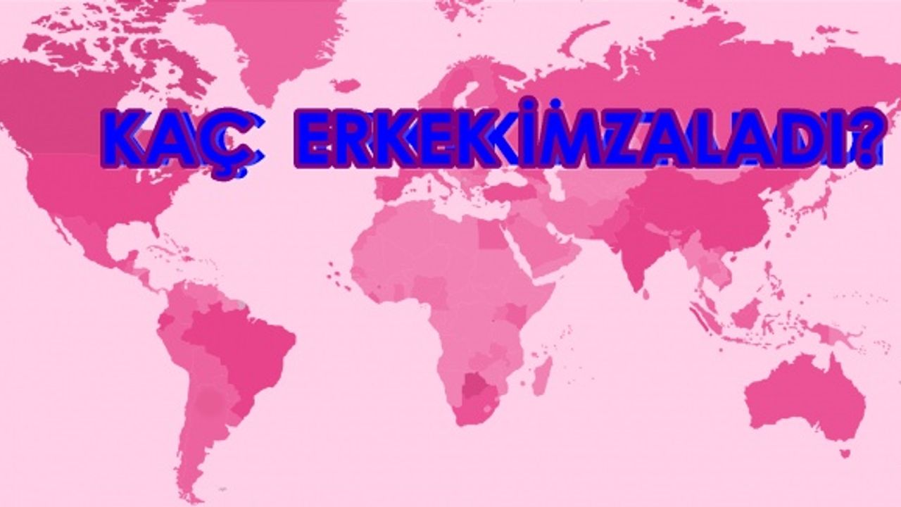 Türkiye'de kaç erkek cinsiyet eşitliğine EVET dedi?