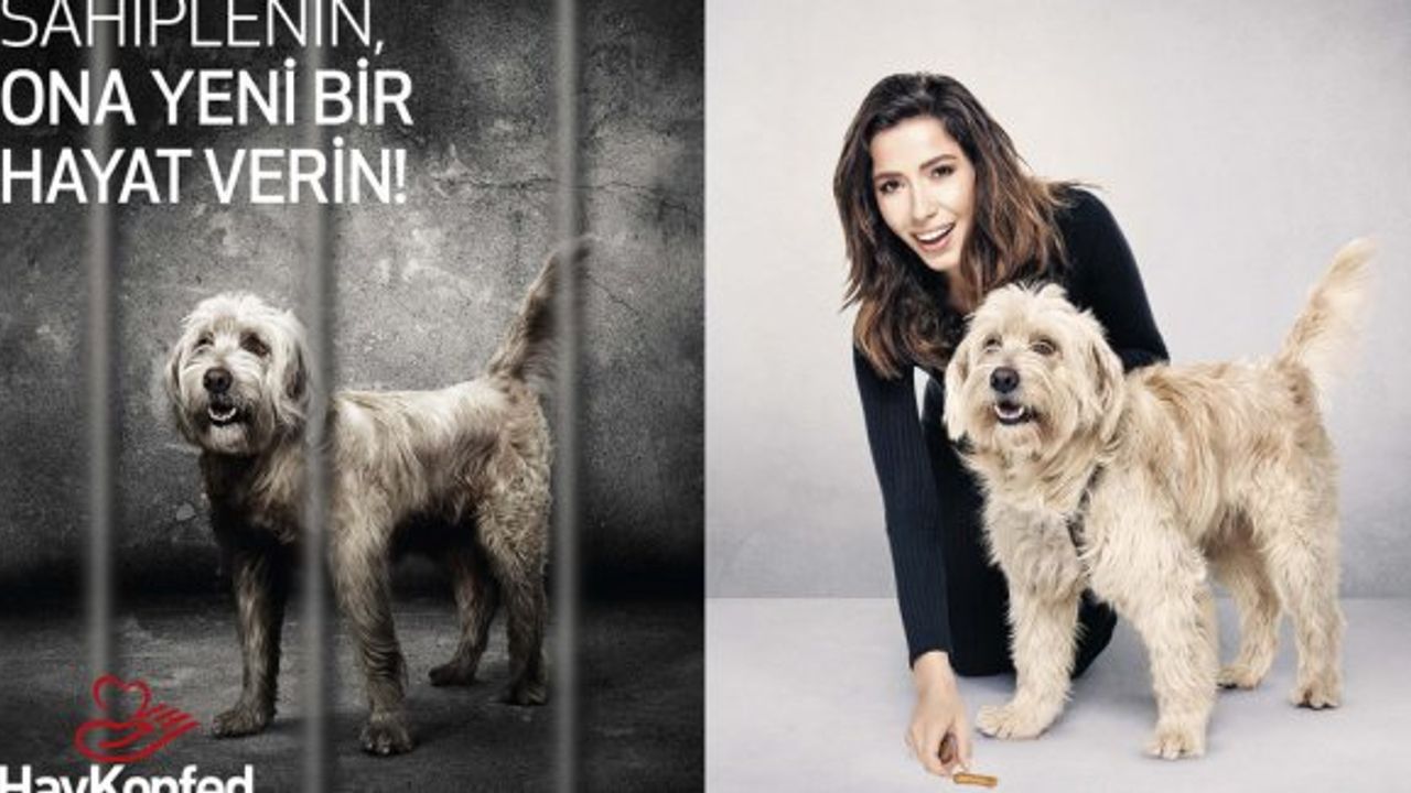 Burcu Güneş Sokak Köpeği Boza İçin Şarkı Söyledi