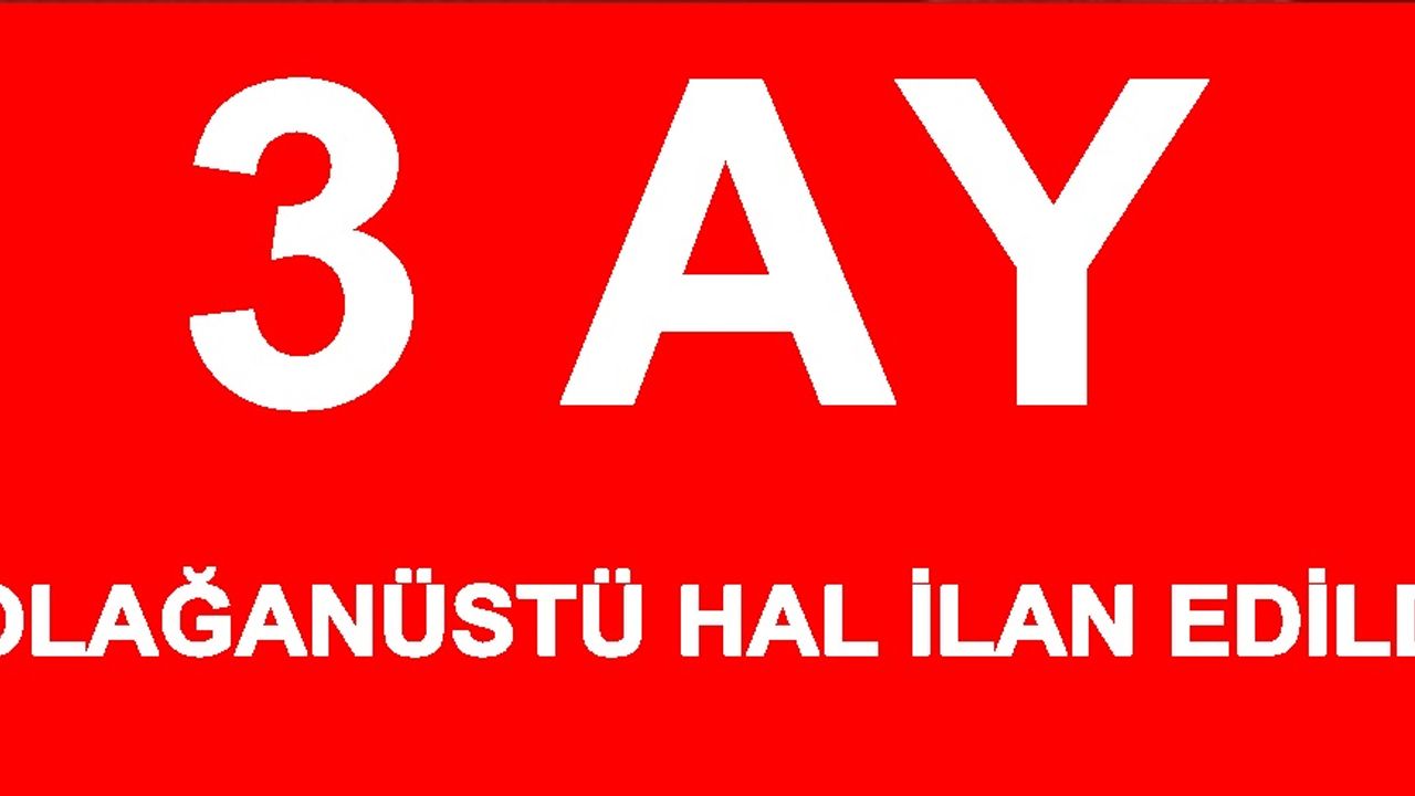 Cumhurbaşkanı: Türkiye'de 3 ay olağanüstü hal ilan edildi