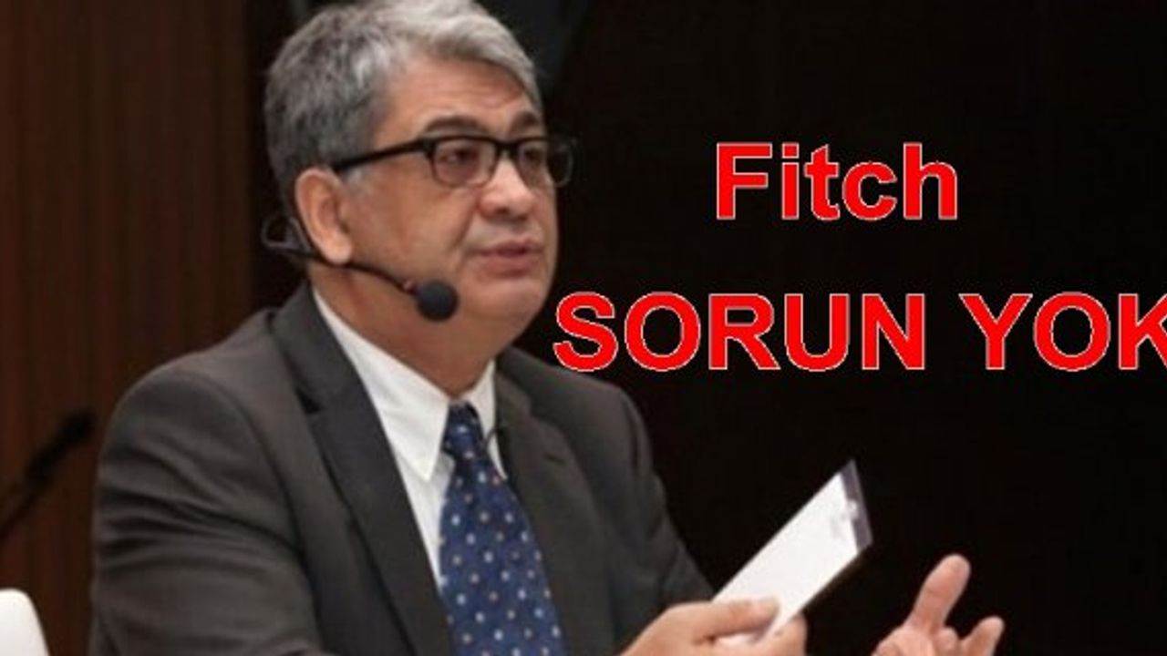 Ertem;"Fitch teknik düzenleme yaptı, yatırım notu aynı, sorun yok”