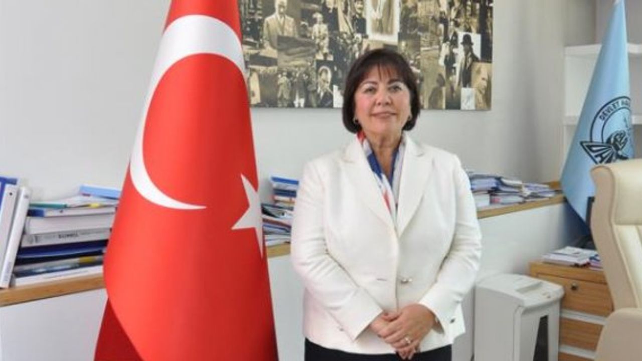 Devlet Hava Meydanları İşletmesi'nin ilk kadın genel müdürü Funda Ocak oldu