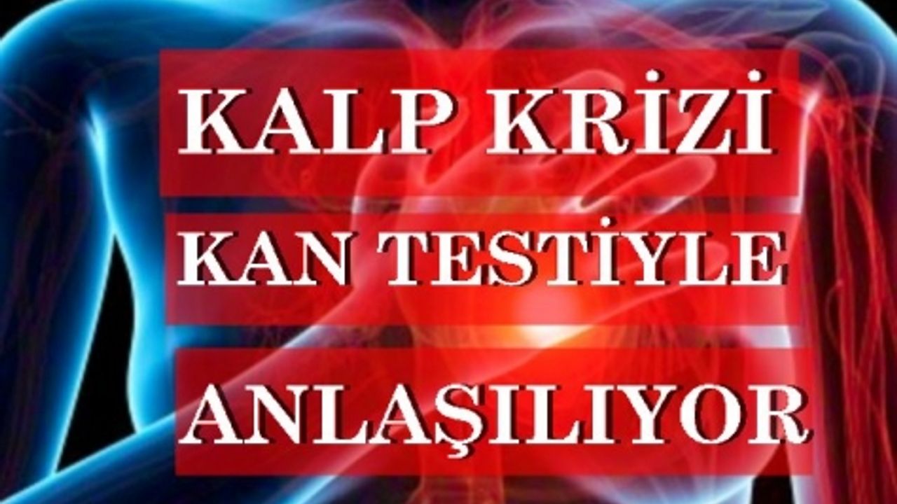 Kalp krizi riski kan testiyle anlaşılıyor