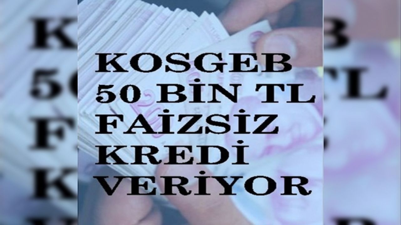 KOSGEB 50 bin TL faizsiz kredi başvurusu nasıl yapılıyor, kimler başvurabilir, nasıl alınır?
