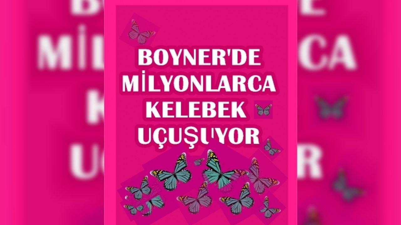 Boyner'de milyonlarca kelebek uçuşuyor