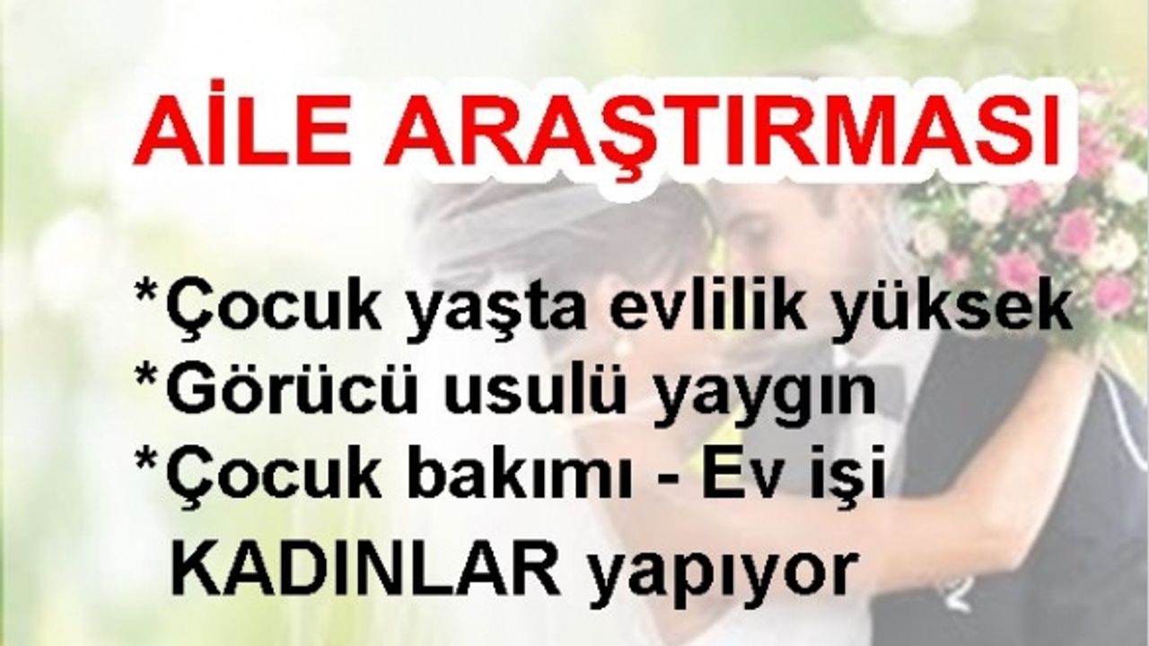 Aile araştırması; Çocuk yaşta evlilik oranı yüksek, çocuk bakımı ve ev işi kadınlarda