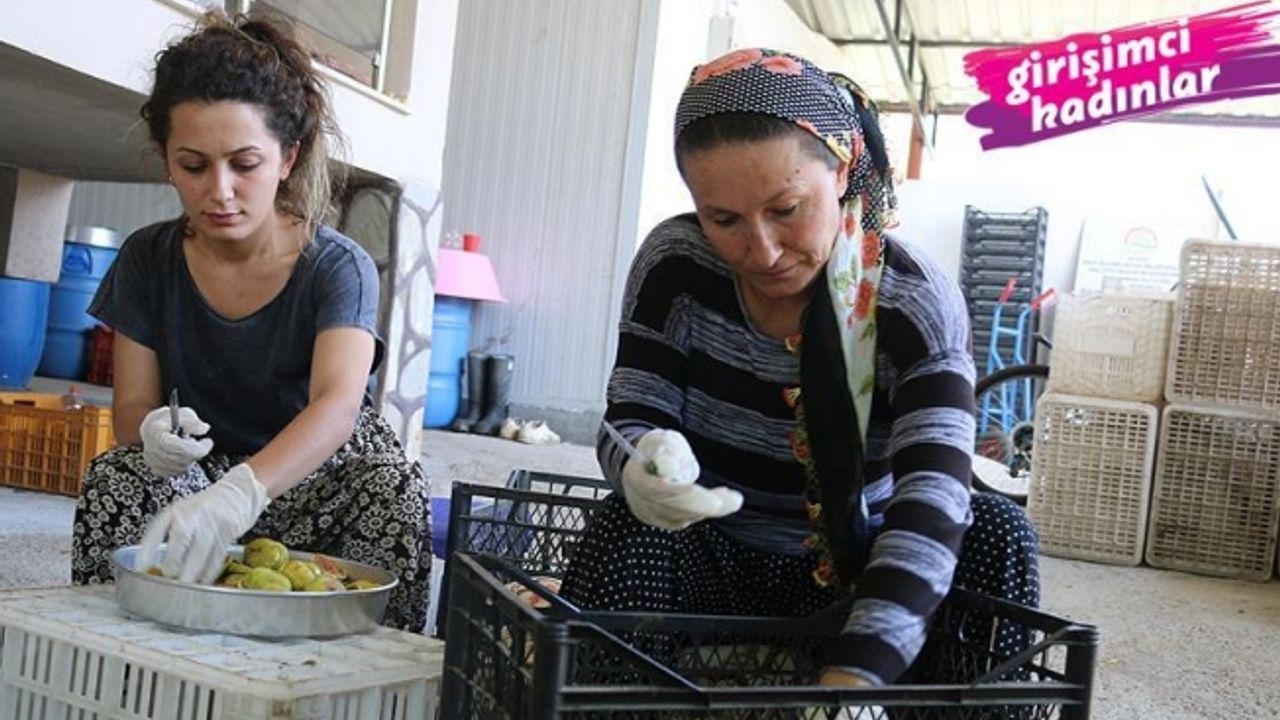 Kadın girişimcilerden çok yaratıcı bir iş; Anneyle kızı 'incir cipsi' yapıp girişimci oldu