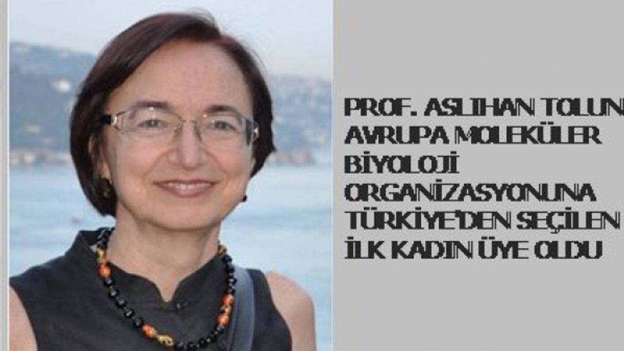 Prof.Dr.Aslıhan Tolun, EMBO'ya Türkiye'den seçilen ilk kadın oldu