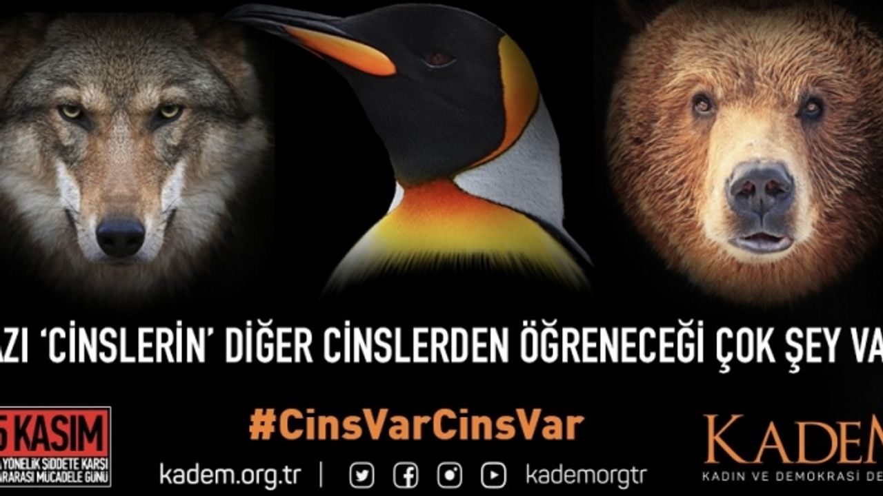 KADEM'den şiddete karşı #CinsVarCinsVar kampanyası