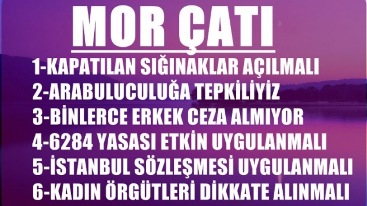 Mor Çatı;"Haklarımıza sahip çıkmaya devam edeceğiz"