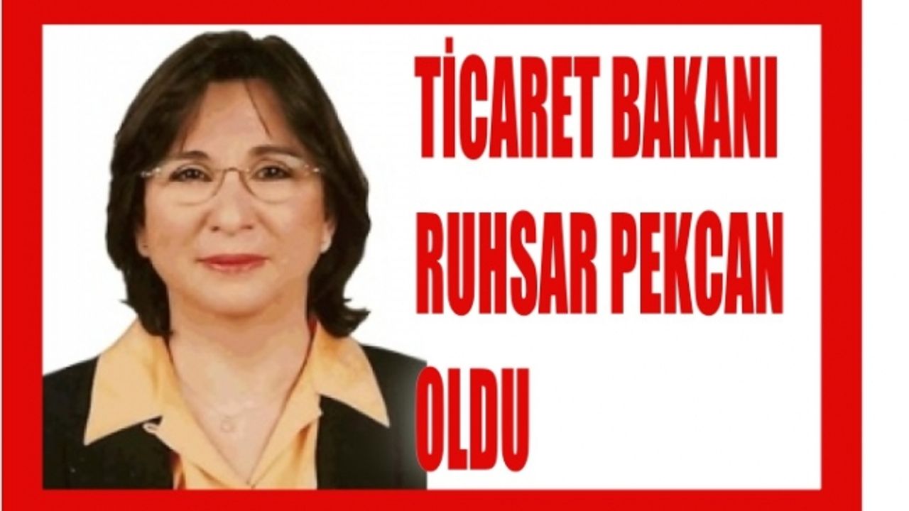 Ticaret Bakanı Ruhsar Pekcan oldu, Ruhsar Pekcan kimdir?