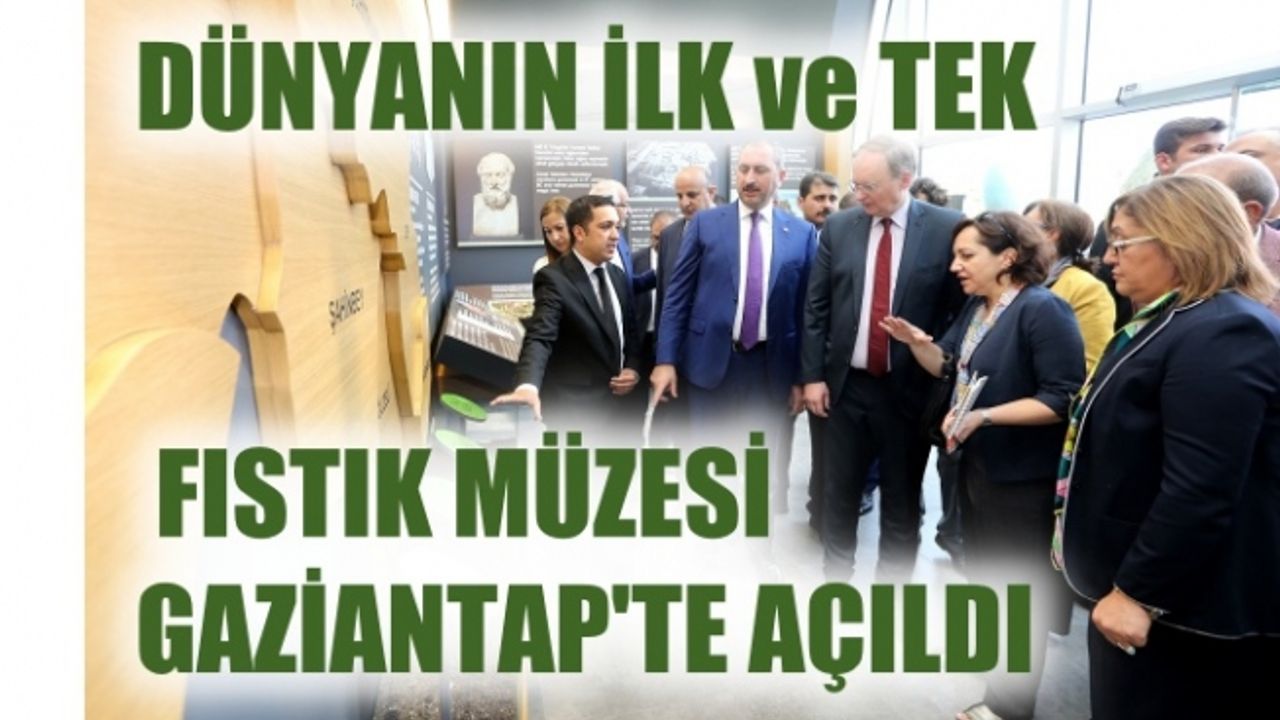 Dünyanın ilk ve tek fıstık müzesi Gaziantep'te açıldı