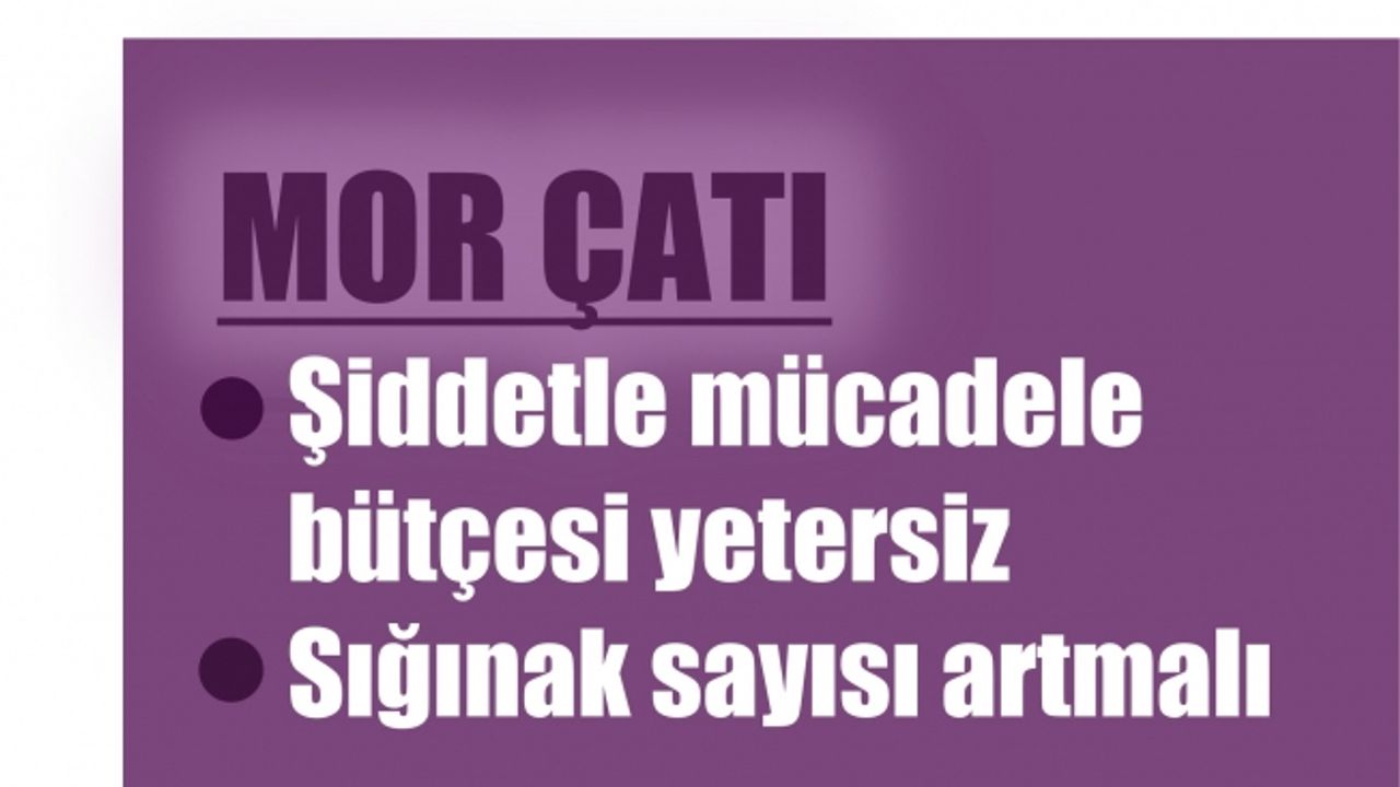 Mor Çatı; "Kadına yönelik şiddetle mücadelede bütçe yetersiz, sığınaklar artırılmalı"