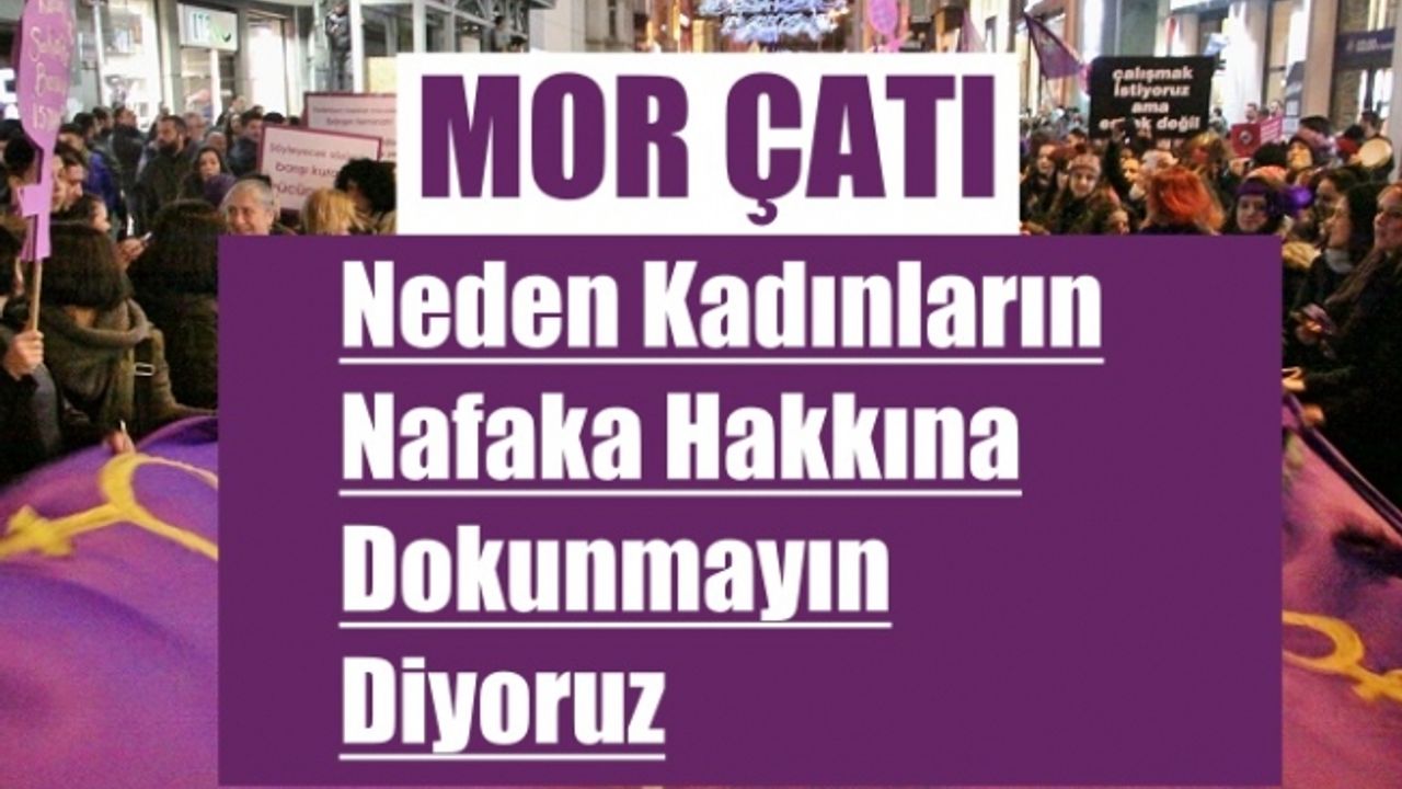 Mor Çatı; 'Neden Kadınların “Nafaka Hakkına Dokunmayın” Diyoruz'