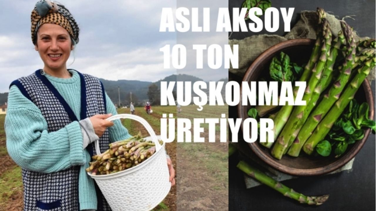 Çiftçi Kadınlar; Aslı Aksoy 40 Dönümde 10 Ton kuşkonmaz Üretiyor