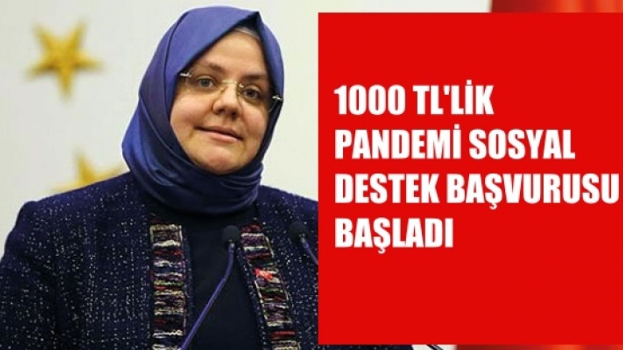 1000 TL'lik Pandemi Sosyal Destek Yardımı Başvuruları Başladı
