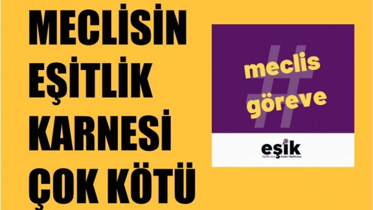 EŞİK TBMM İzleme Raporuna Göre Meclisin Eşitlik Karnesindeki Notları Zayıf