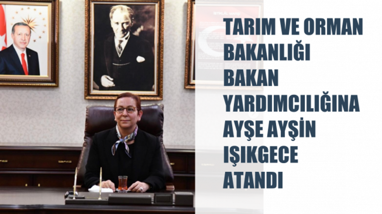 Tarım ve Orman Bakanlığı Bakan Yardımcılığına Ayşe Ayşin Işıkgece Atandı