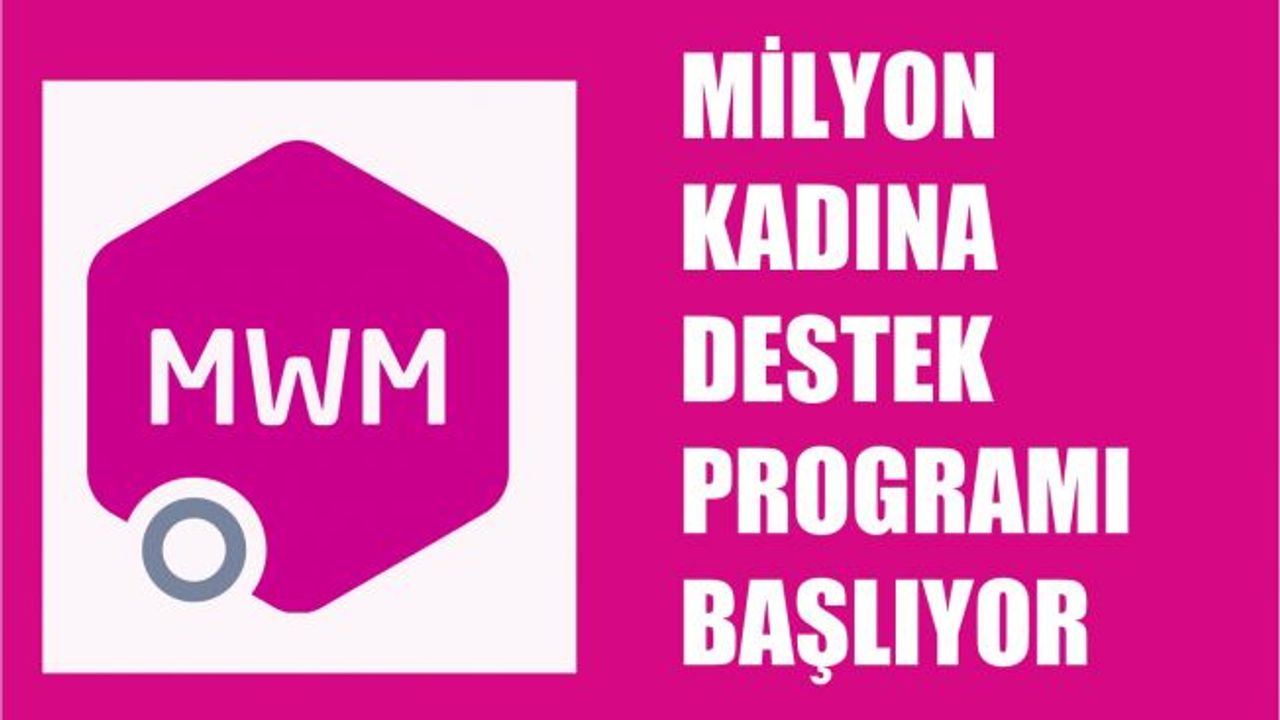 ABD - Türkiye İş Konseyi'nin "Milyon Kadına Mentor" Programı Başlıyor