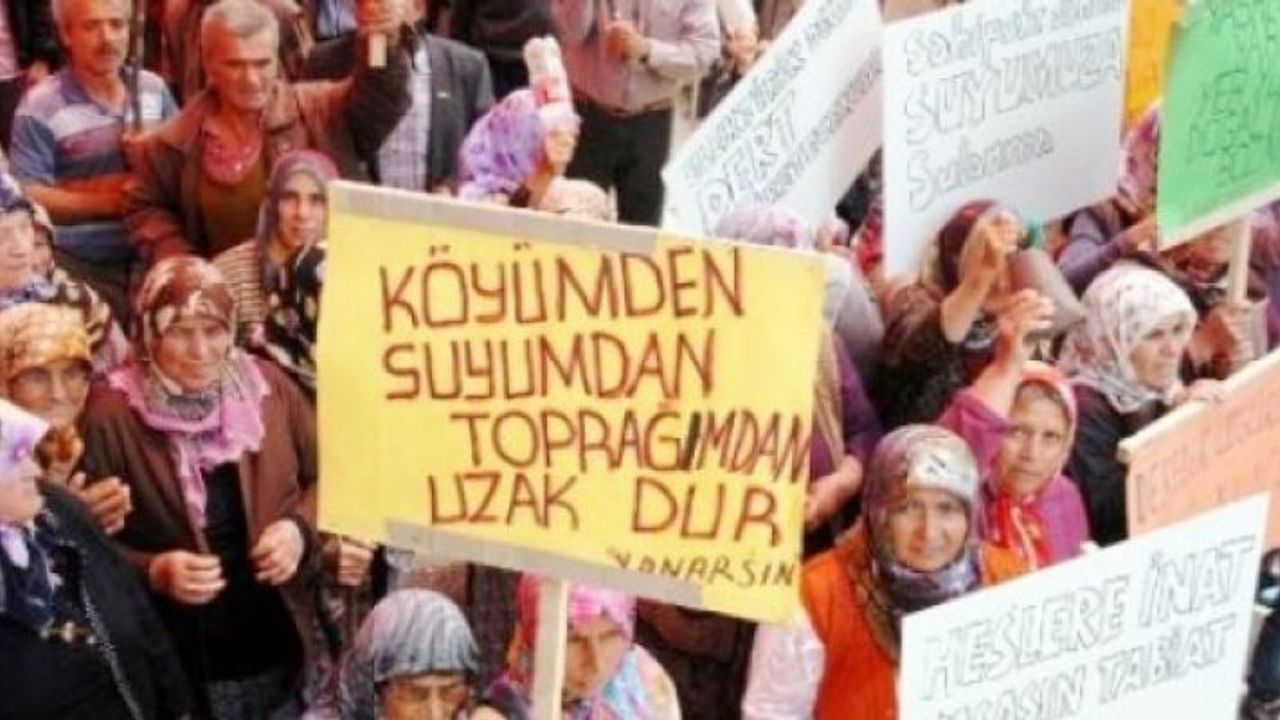 Deniz Bayram anlattı, kadınlar zeytinlik, HES, maden eyleminde neden hep en öndeler?