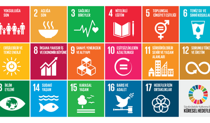 17 Maddede Dünya Liderlerinin Söz Verdiği Hedefler