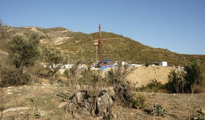 İzmir Seferihisar'da Köylüler Asırlık Zeytin Ağaçlarını Korumak İçin Dava Açtı