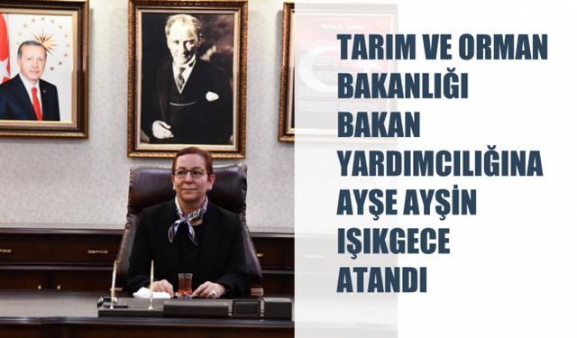 Tarım ve Orman Bakanlığı Bakan Yardımcılığına Ayşe Ayşin Işıkgece Atandı