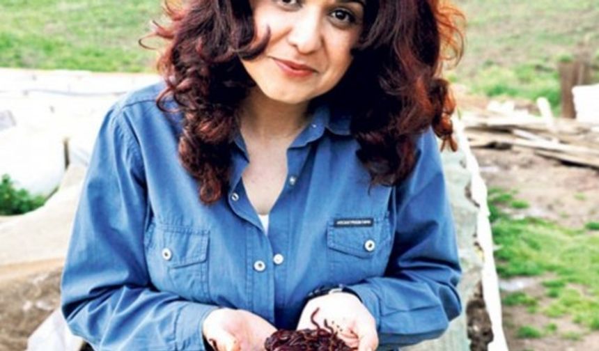 Burçin Karababa