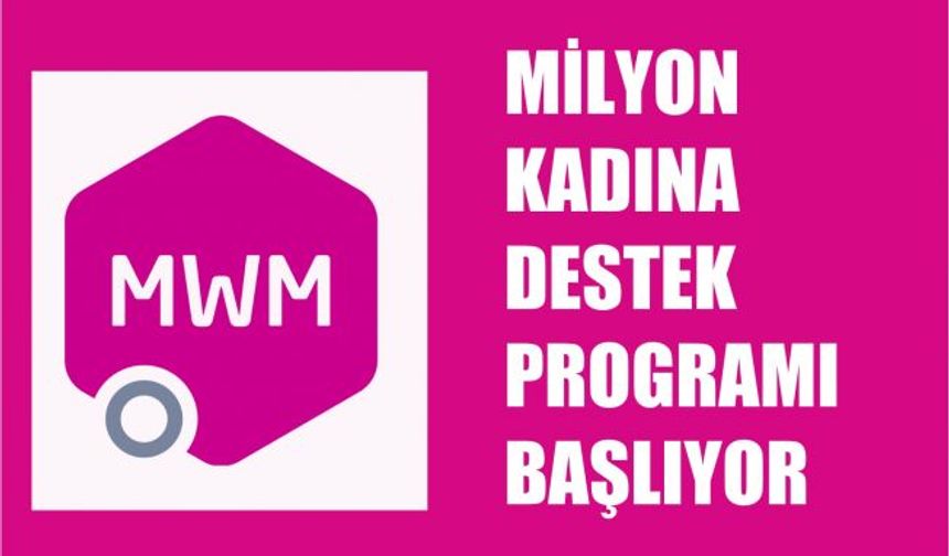 ABD - Türkiye İş Konseyi'nin "Milyon Kadına Mentor" Programı Başlıyor