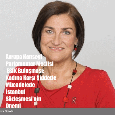 EŞİK ve Avrupalı Parlamenterlerden Ortak Toplantı; İstanbul Sözleşmesi